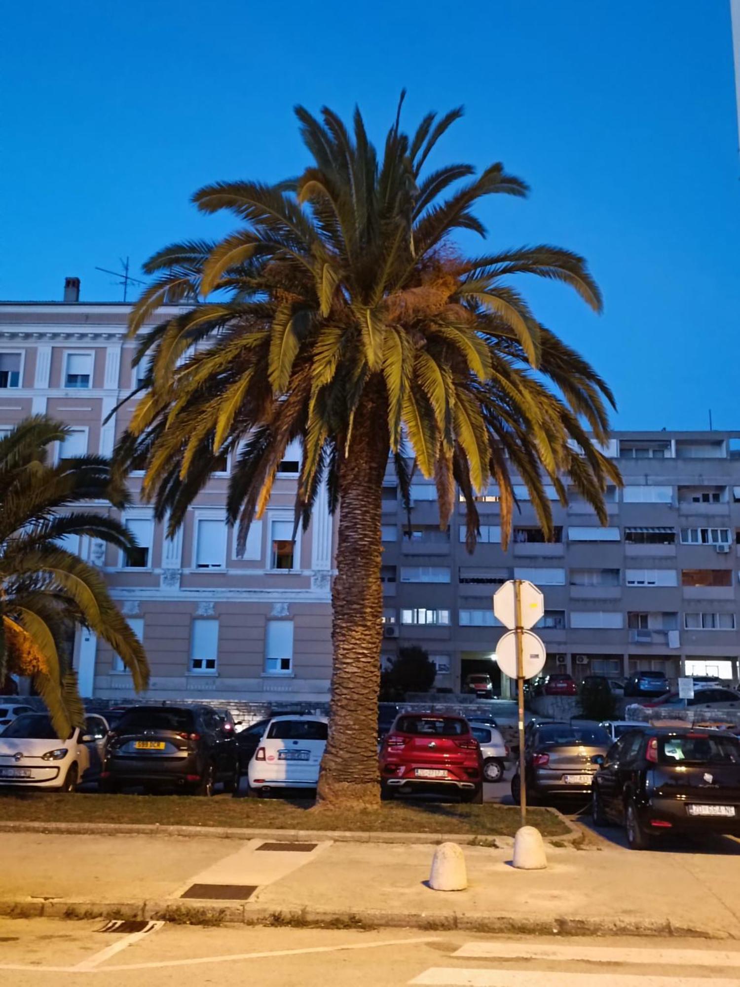 Zadar Beach Apartments Exteriör bild